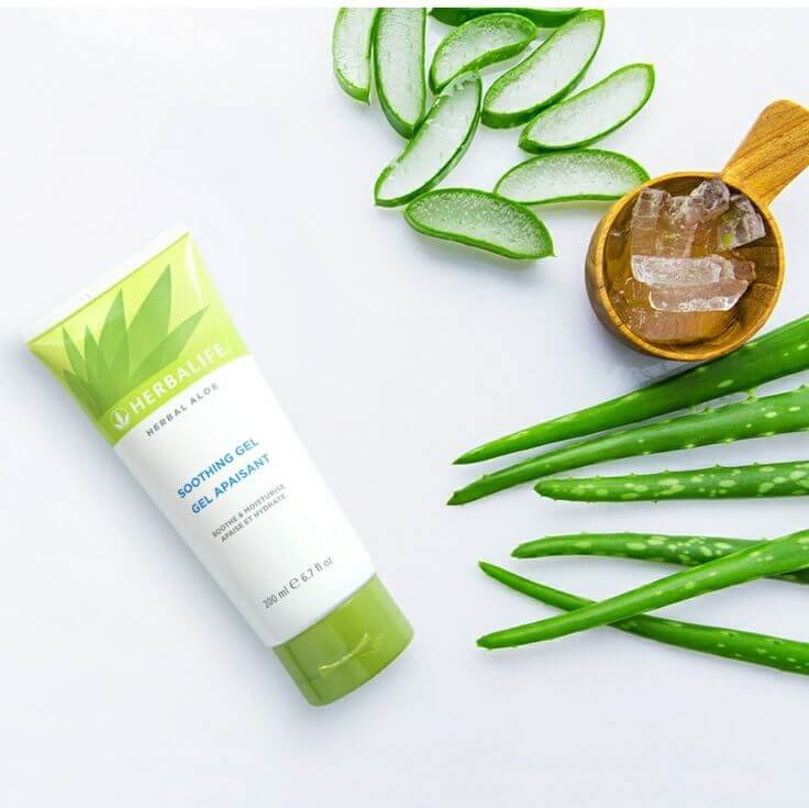 Gel Suavizante de Herbal Aloe 2 gel Herbalife 2